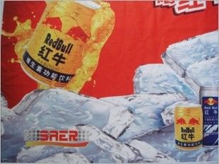 Εσωτερική 380V μηχανή εκτύπωσης υφάσματος μεγάλου σχήματος ψηφιακή για τη σημαία αυτοκινήτων