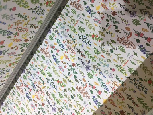 110V / 220V αυτόματες σύστημα εκτύπωσης υφάσματος/μηχανή εκτύπωσης υφάσματος Inkjet